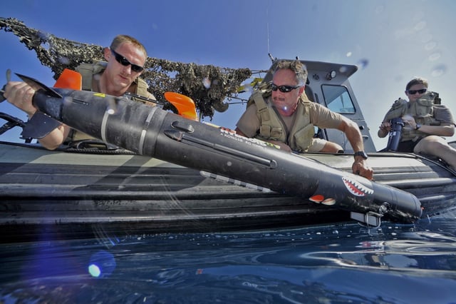 Navy AUV