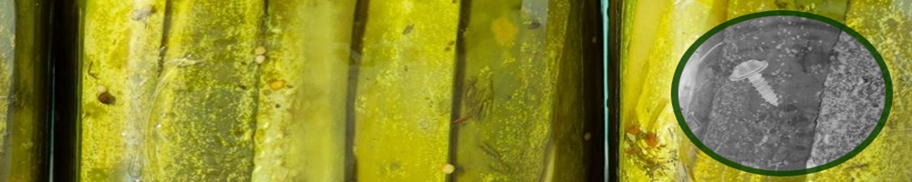 Food X-Ray Radiation Shielding