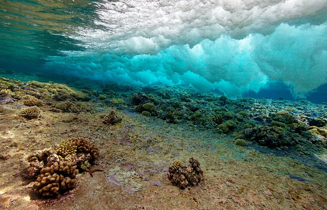 Exploring the Ocean's Depths