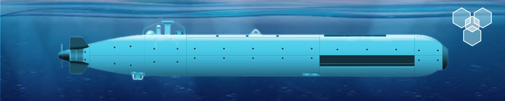 Submersible Components